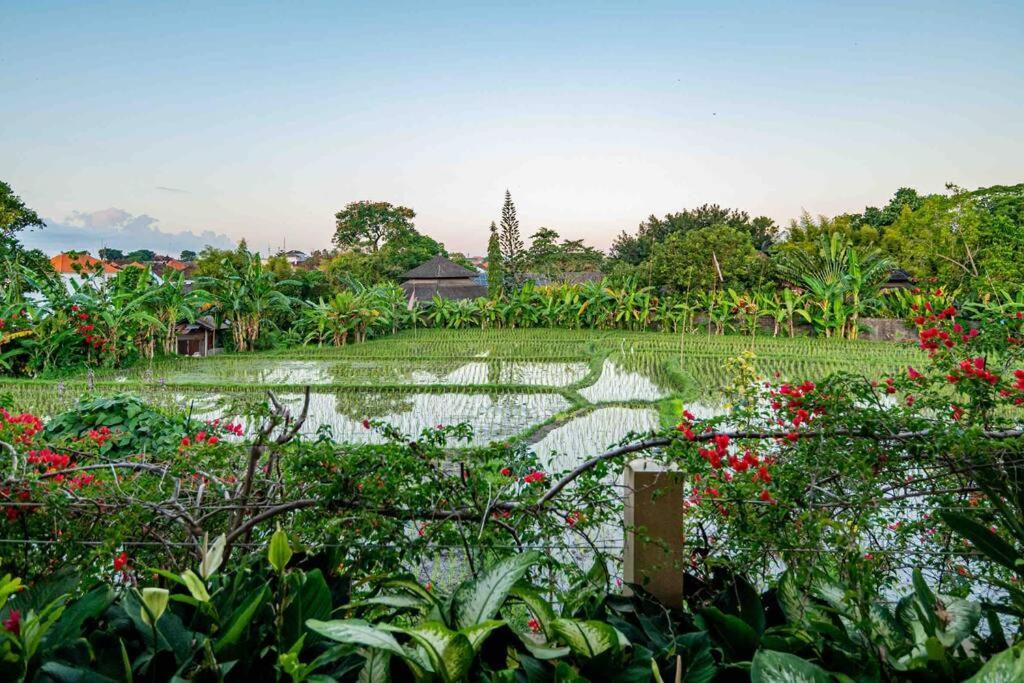 Villa Mimpi Nyata Canggu Dış mekan fotoğraf