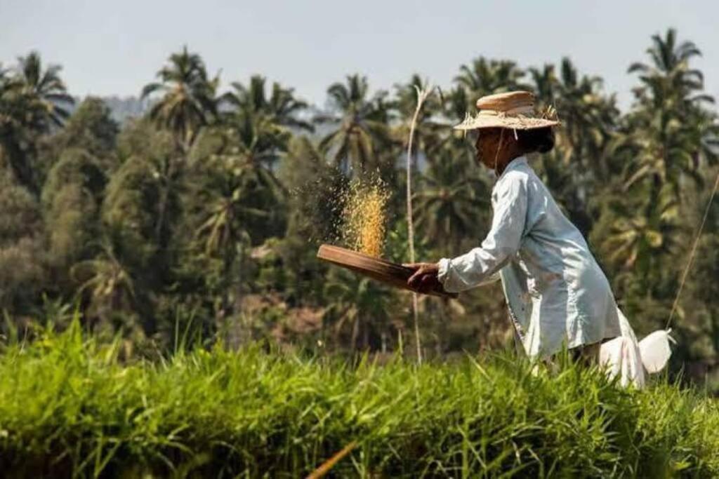 Villa Mimpi Nyata Canggu Dış mekan fotoğraf