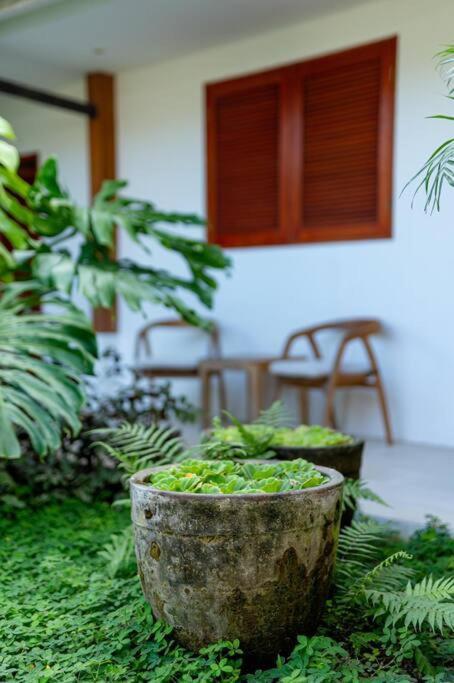 Villa Mimpi Nyata Canggu Dış mekan fotoğraf