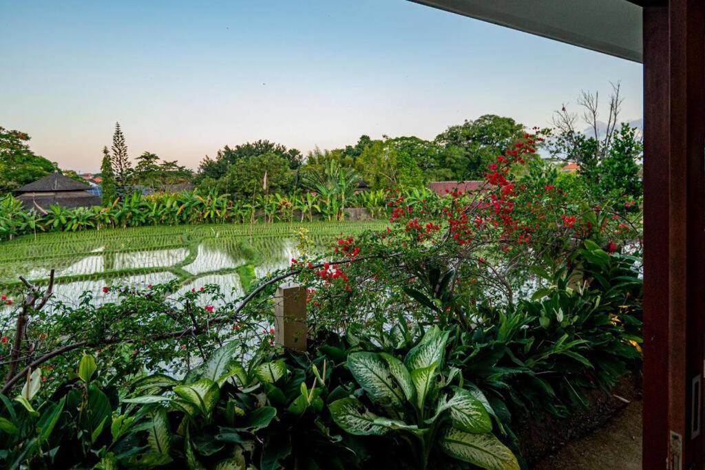 Villa Mimpi Nyata Canggu Dış mekan fotoğraf